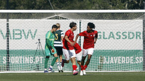 Jogadores do Santa Clara festejam perante a frustração leonina
