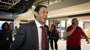 Rui Costa, presidente do Benfica
