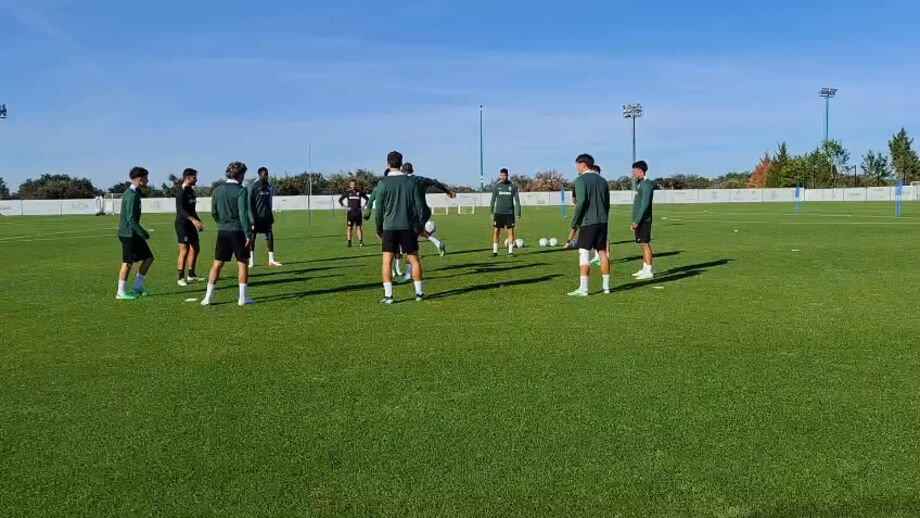 Leões preparam jogo da Liga dos Campeões